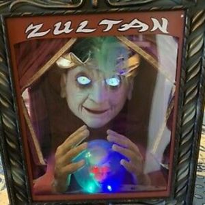 zultan fortune teller